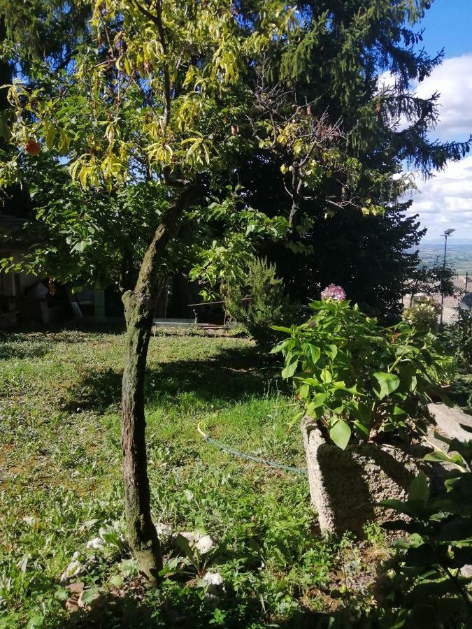 Orto Di Emma San Gimignano